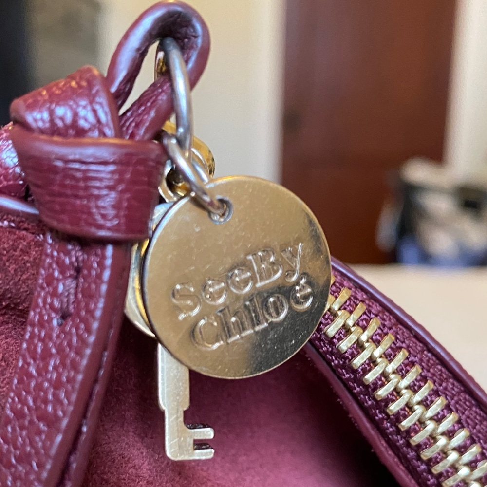 See By Chloe Burgundy Suede and Leather Burgundy Hobo Bag - Picture 4 of 13
